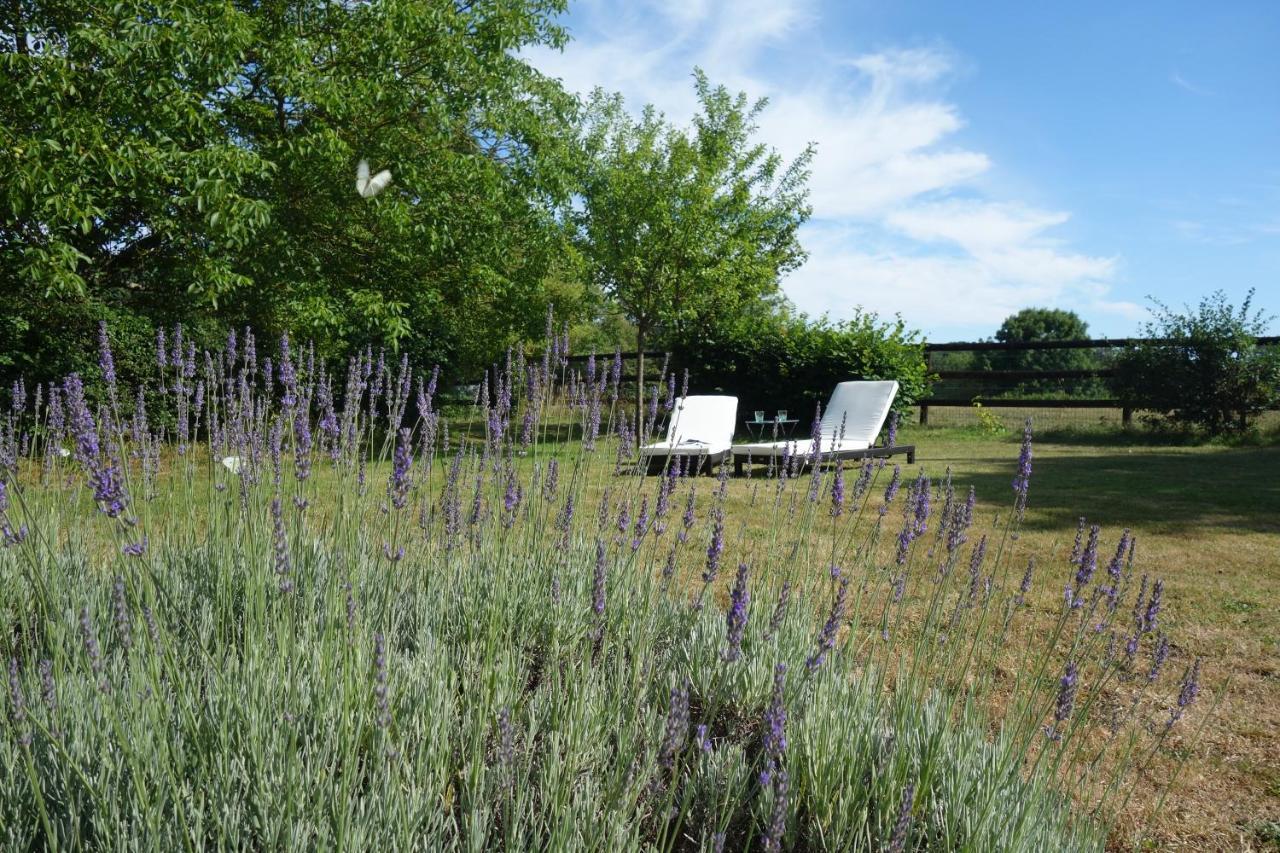 Le Cottage Du Coudray, Gite Avec Chalet Sauna La Fresnaie-Fayel Екстер'єр фото